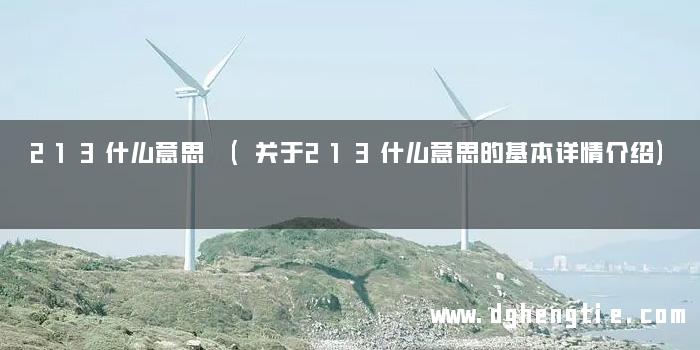 213什么意思 (关于213什么意思的基本详情介绍)
